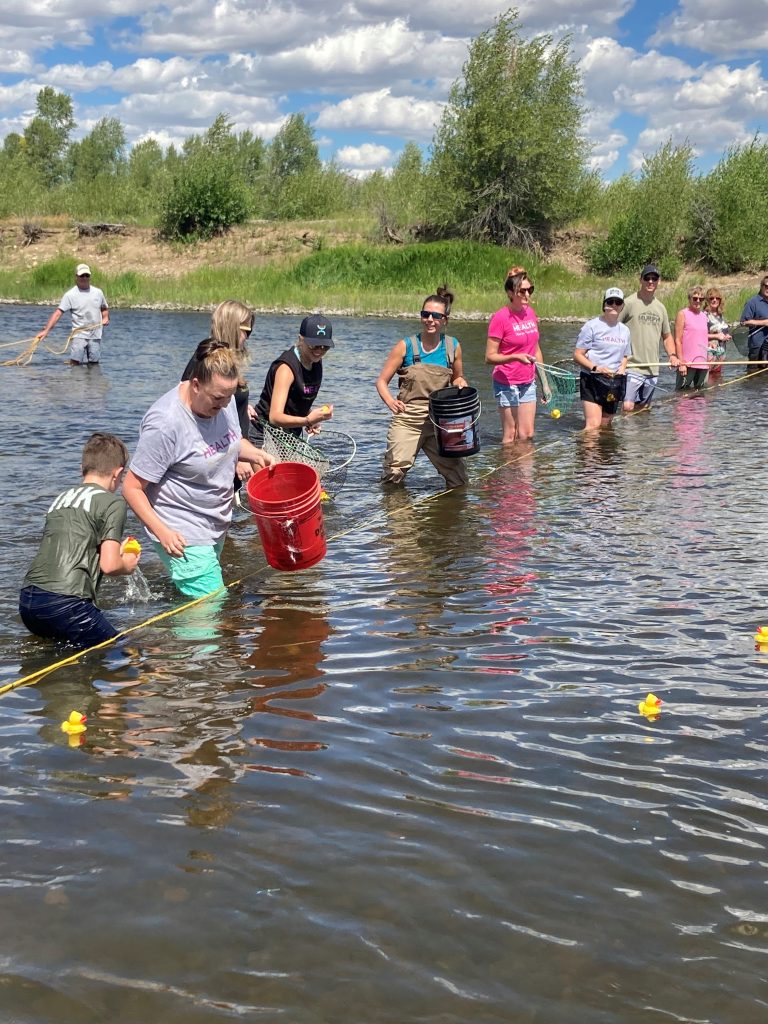 Volunteers collecting rubber ducks in the river. 