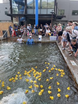 Rubber ducks race down waterslides to raise funds for Hospice in Steamboat Springs, Colorado